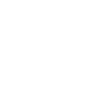 Consulting Services